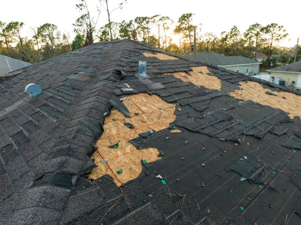 Best Roof Coating and Sealing  in Seven Lakes, NC